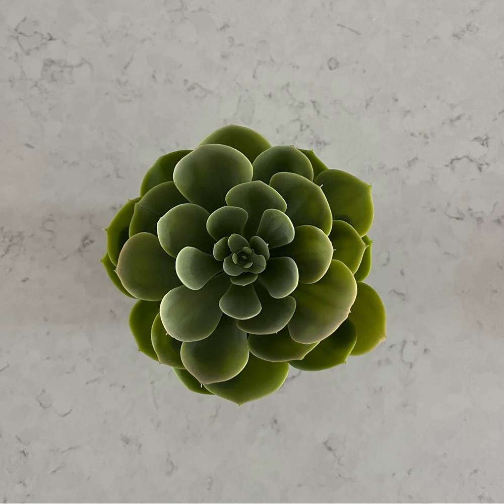 IKEA Succulent Faux Potted Plant